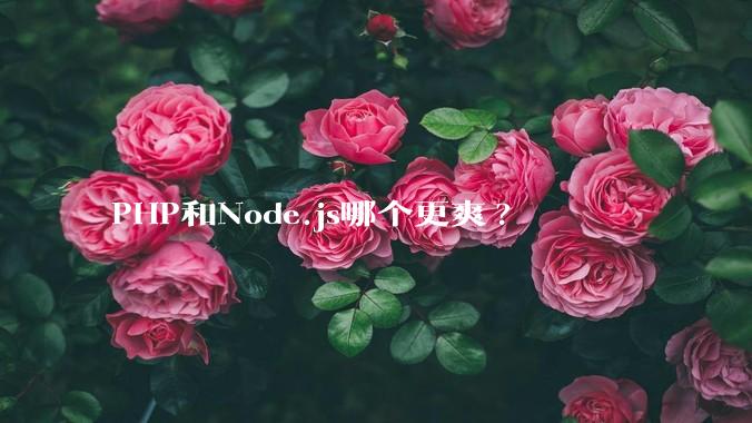PHP和Node.js哪个更爽?