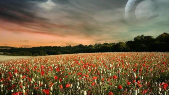 node 项目中如何使用 Node Schedule 创建定时任务？